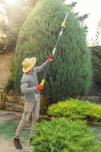 Best Hazardous Tree Removal  in Pensacola Station, FL